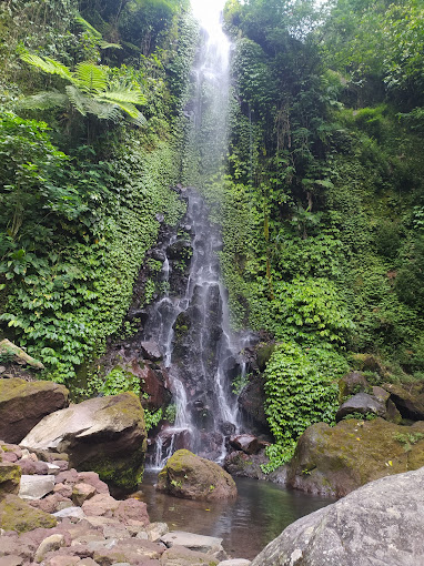 Air Terjun Suwono