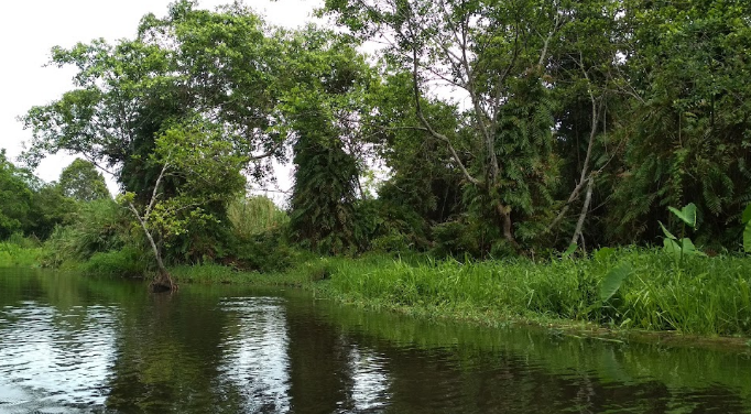 Danau Rowa dan Danau Serang