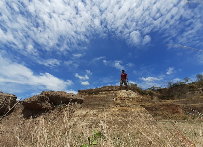 Gray Canyon Kudus