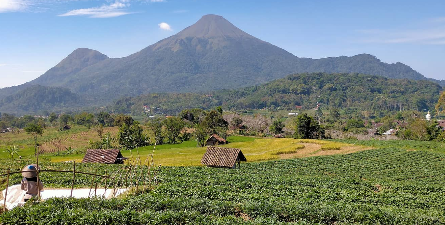 Gunung Penanggungan