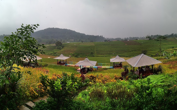 Kampung Organik Brenjonk