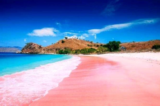 Pantai Pink di Lombok